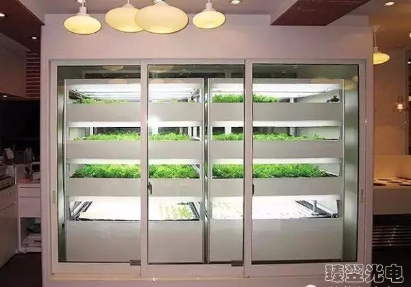 光纖照明，光導照明，植物栽培