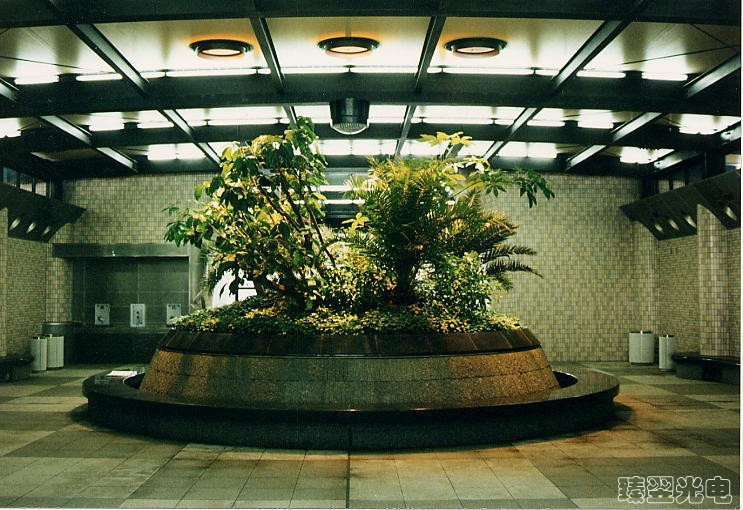 光導照明，光纖照明，室內(nèi)植物照射